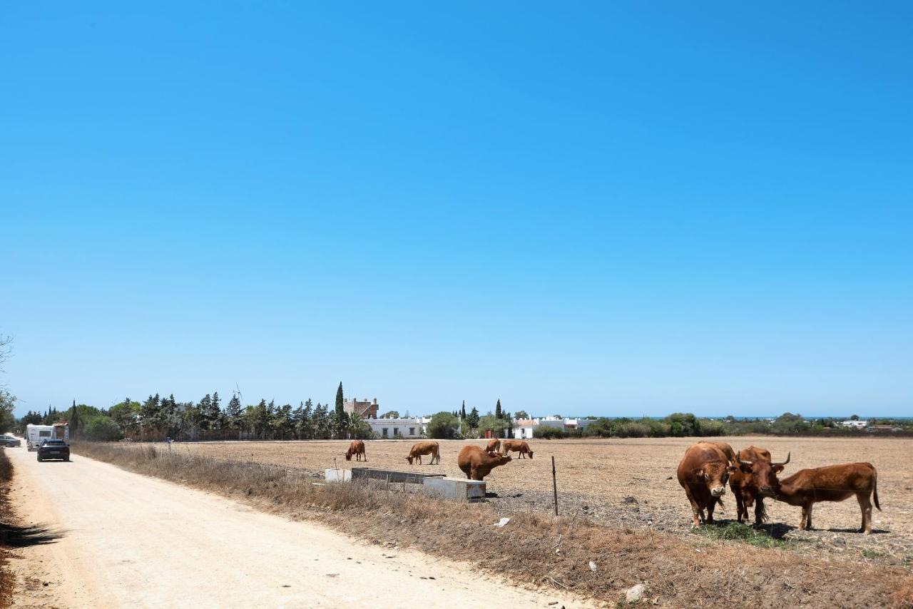Casa Mora - Vejer, El Palmar Villa Vejer de la Frontera Bagian luar foto
